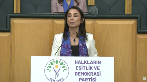 DEM Parti'li Hatimoğulları: AİHM ve AYM kararları uygulanmalı