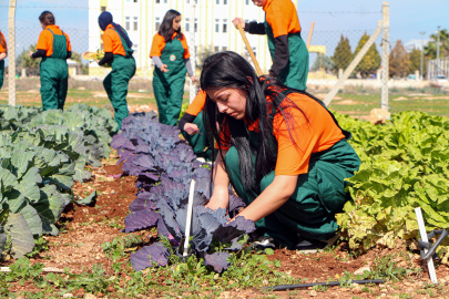 Çukurova’da geleceğin ziraatçileri tarım lisesinde yetişiyor / Ek fotoğraflar