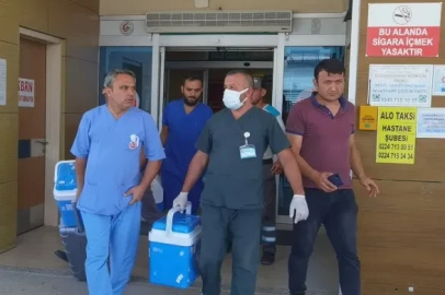 Beyin ölümü gerçekleşen hastanın organları ile korneası 4 hastaya umut oldu 