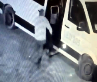 İstanbul- Avcılar'da mahallenin maskotu 'Garip' isimli köpeği çalan şüpheli yakalandı