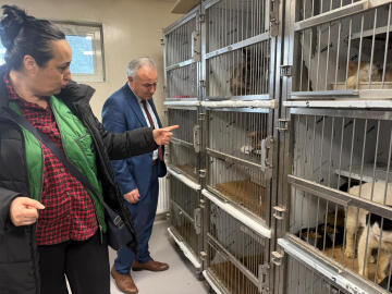 Ankara'da kötü şartlarda tutulan 102 hayvana el konuldu