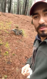 Ormanda gördüğü maymunu simitle besledi