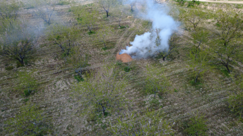 Manisa’da üreticilerden ‘zirai don' nöbeti; badem ağaçlarına dumanlı koruma