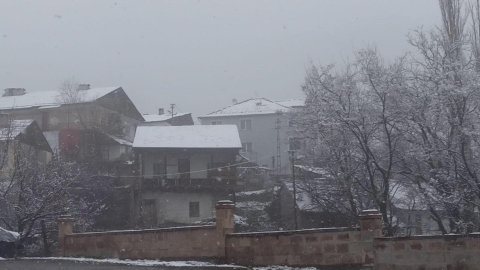 Posof'ta kar yağışı etkili oldu