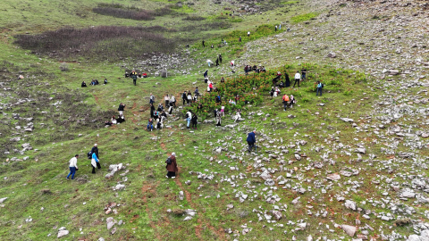 Muş'un zirveleri ters lalelerle renklendi / Ek fotoğraflar
