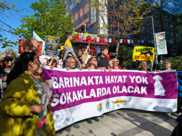 Ankara'da hayvanseverlerden yürüyüş