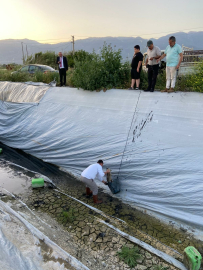 Aydın’da çilek sulama havuzuna düşen 5 yavru köpek kurtarıldı