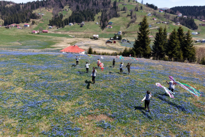 Yaylaya çıktılar, kitaba sarıldılar; ‘mavi yıldız’lar arasında ders/ Ek fotoğraflar 