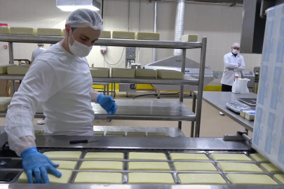 Erzincan'da günlük 45 ton kapasiteli süt fabrikası çiftçiye gelir sağlıyor