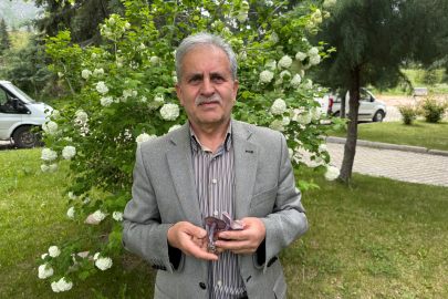 Prof. Dr. Türkekul: Bilmediğiniz mantarı tüketmeyin, uzmanına danışın