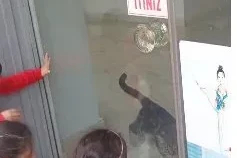 Kedi, öğrencilerin duyduğu miyavlama sesi sayesinde kurtarıldı