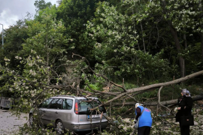 Tekirdağ'da kuvvetli rüzgarda ağaç otomobilin üzerine devrildi
