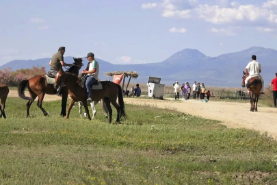 Sultan Sazlığı Milli Parkı'na bayramda ziyaretçi akını